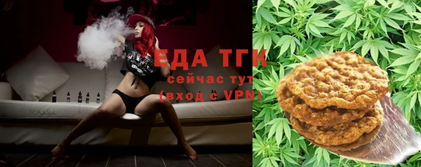 спайс Гусь-Хрустальный