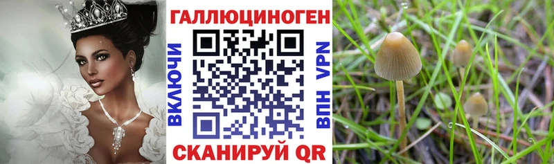 Псилоцибиновые грибы ЛСД Севск